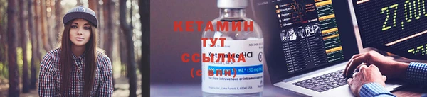 соль ск Дмитров