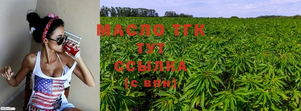 соль ск Дмитров