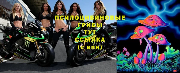 mdpv Дмитровск