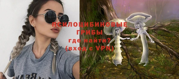 бутират Дмитриев