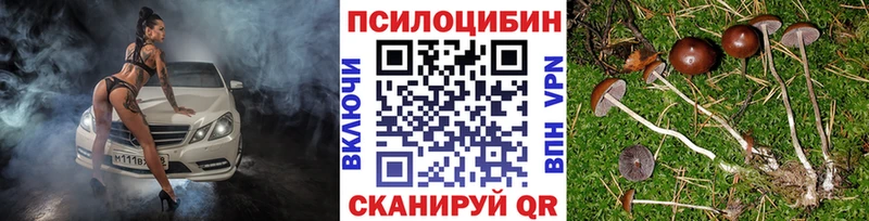 Галлюциногенные грибы Magic Shrooms Ачхой-Мартан