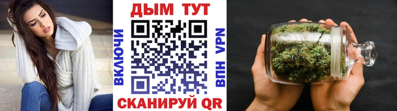Конопля Amnesia  Ачхой-Мартан 
